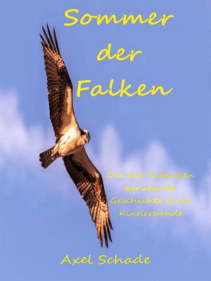cover image of Sommer der Falken